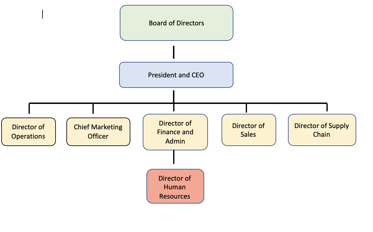 explore-our-sample-of-executive-director-report-to-board-template-for