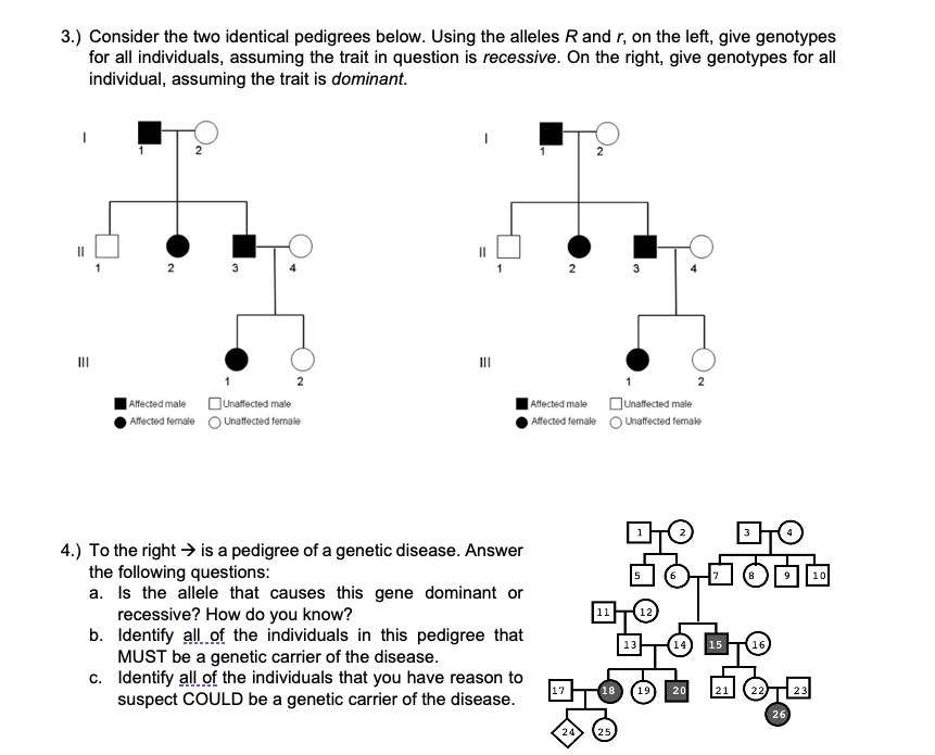 Solved 3 Consider The Two Identical Pedigrees Below Using 2396