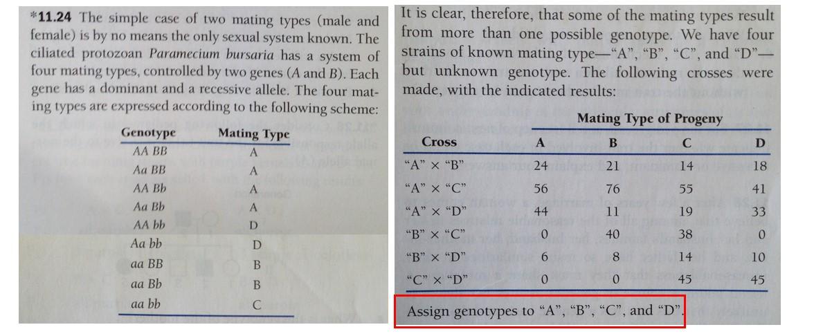 Solved *11.24 The simple case of two mating types (male and | Chegg.com
