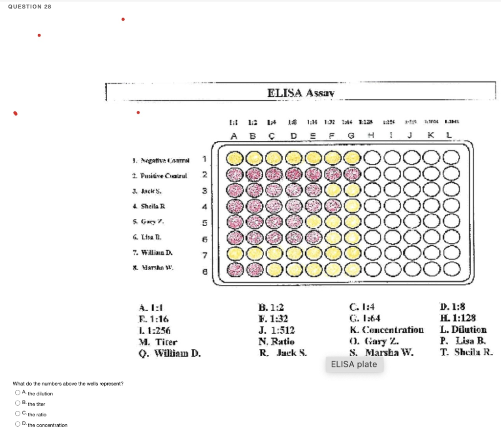 solved-question-28-what-do-the-numbers-above-the-wells-chegg