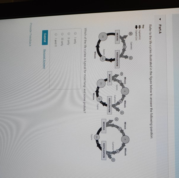 Solved Part A Refer To The Life Cycles Illustrated In The | Chegg.com