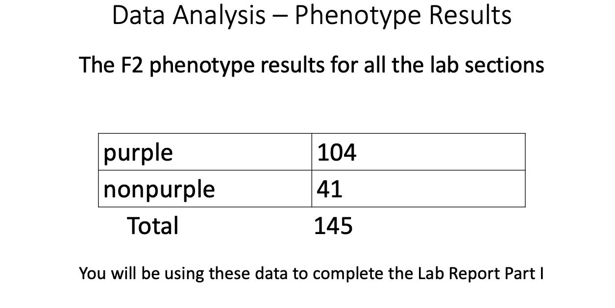 Solved In the first part of this report, you will perform a | Chegg.com