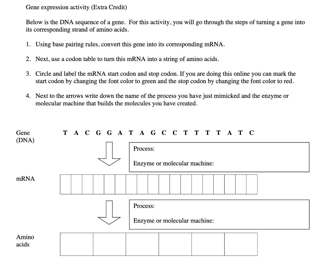 Gene expression activity (Extra Credit)
Below is the DNA sequence of a gene. For this activity, you will go through the steps