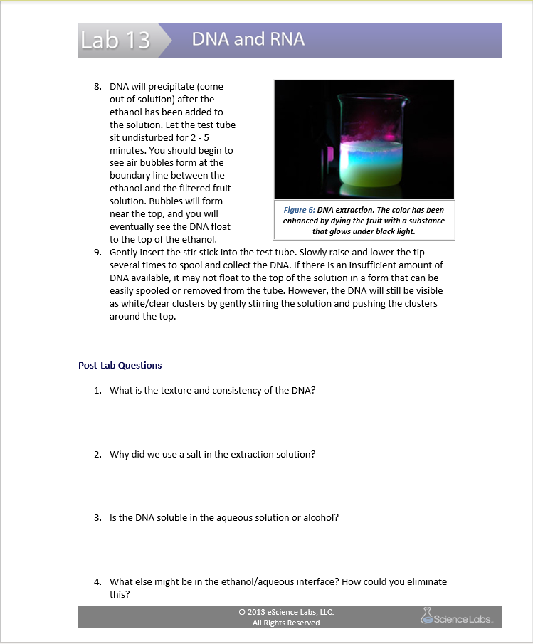 experiment 3 dna extraction post lab questions