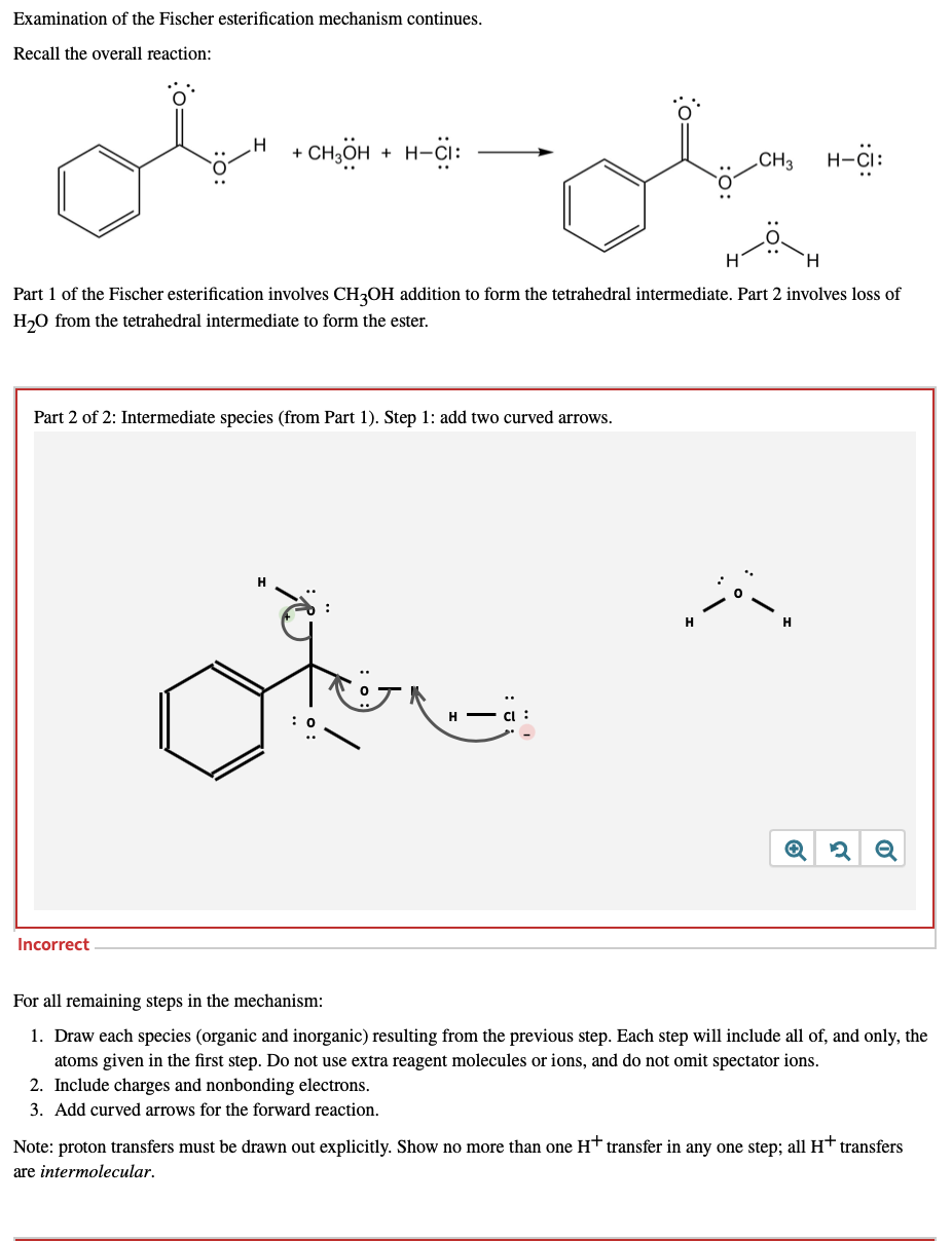 Solved Examination of the Fischer esterification mechanism | Chegg.com