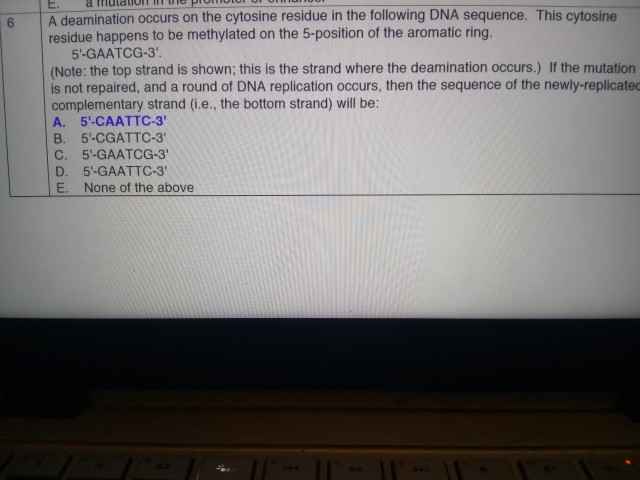 Solved E.à f 6 A deamination occurs on the cytosine residue | Chegg.com