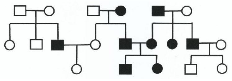 Solved The shaded individuals in the pedigree below have an | Chegg.com