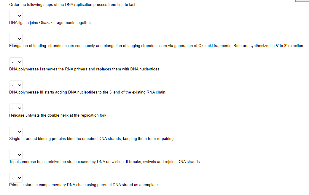 Solved Order the following steps of the DNA replication | Chegg.com