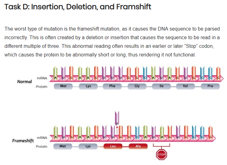 Task D Insertion, Deletion, and Framshift The worst