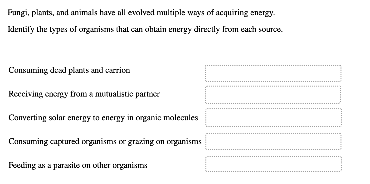 Solved Classify each statement as an example of a physical | Chegg.com