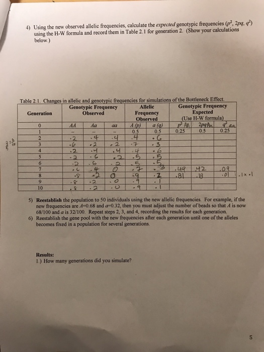 Solved Testing the Hardy Weinberg equilibrium using colored | Chegg.com