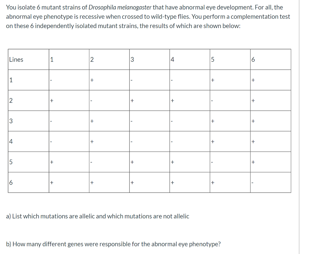Solved You isolate 6 mutant strains of Drosophila | Chegg.com