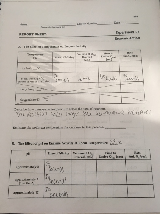 383 Name Locker NumberDate Experiment 27 Enzyme