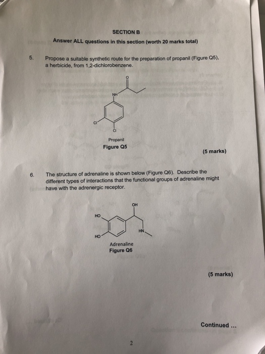 Solved SECTION B Answer ALL Questions In This Section (worth | Chegg.com