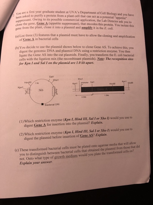 What Is A First Year Graduate Student