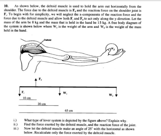 Solved 10. As shown below, the deltoid muscle is used to | Chegg.com