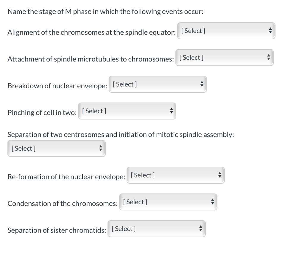 Solved Name the stage of M phase in which the following Biology Diagrams