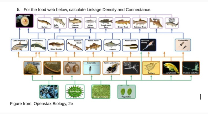 Solved 6. For the food web below, calculate Linkage Density | Chegg.com