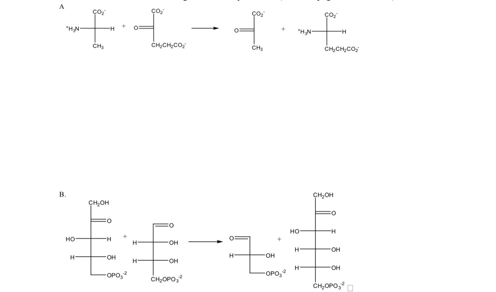 Solved Provide full enzyme mediated arrow mechanisms for the | Chegg.com