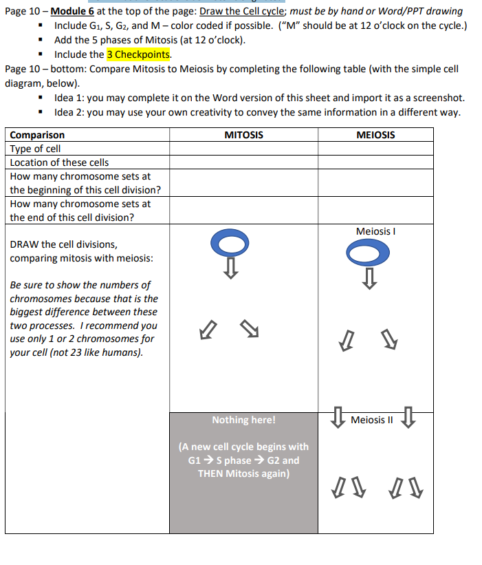Solved Page 10 - ﻿Module 6 ﻿at the top of the page: Draw the | Chegg.com