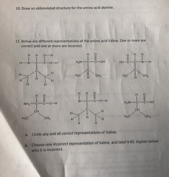 Solved Model 2. In living things, there are 20 amino acids | Chegg.com