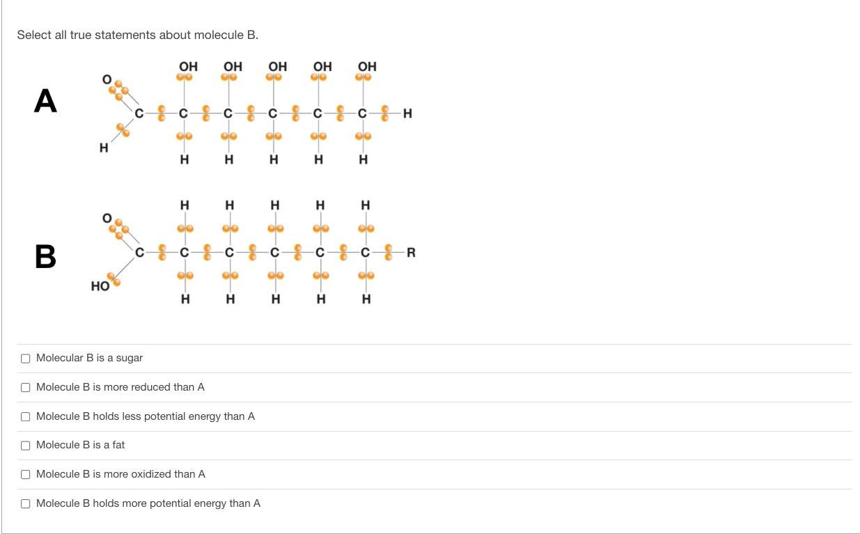 Solved Select All True Statements About Molecule B. A E | Chegg.com