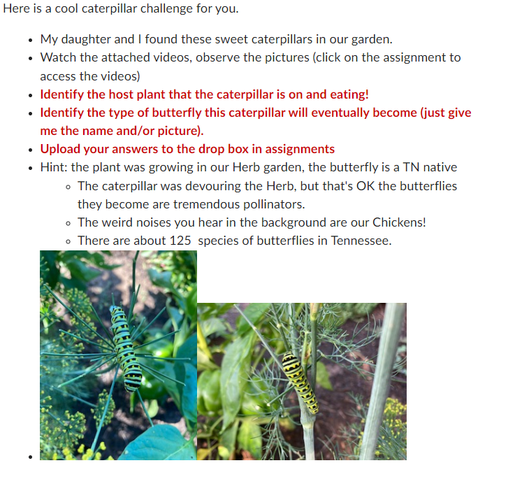 Solved re is a cool caterpillar challenge for you. - My | Chegg.com