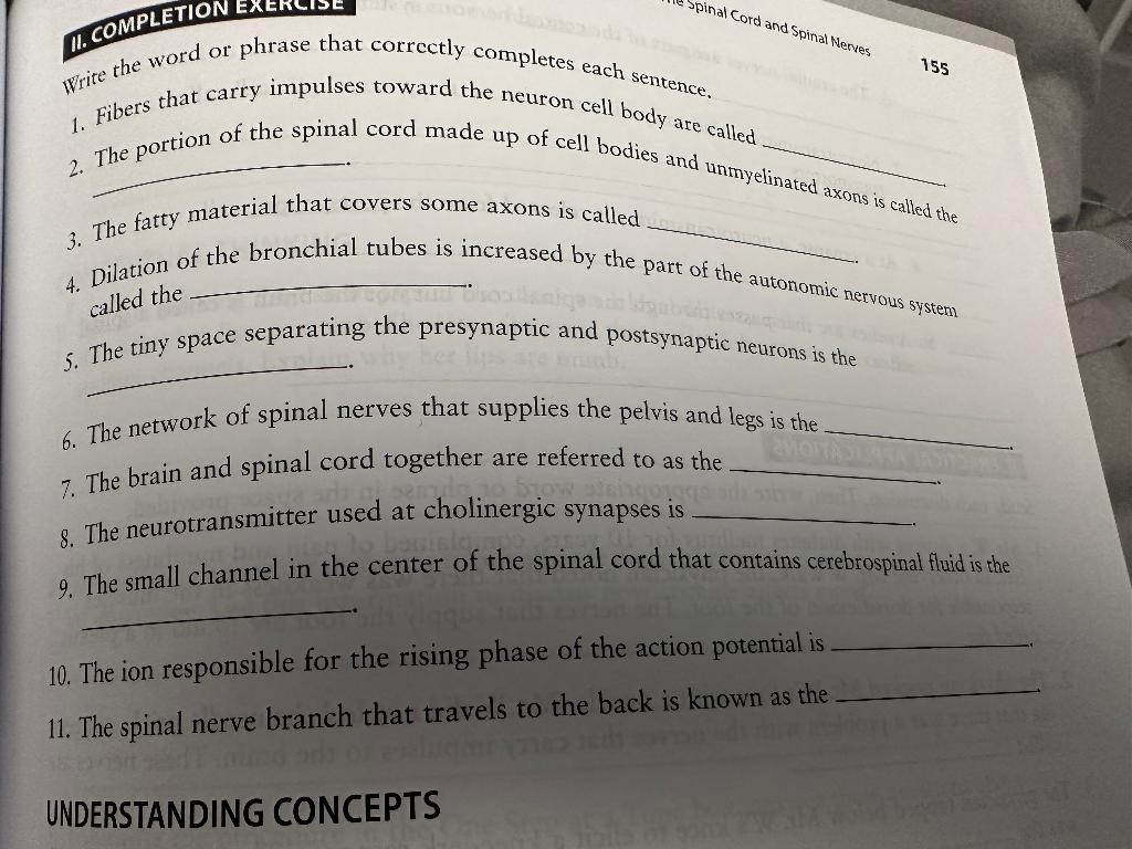 write the word or phrase that correctly completes each sentence.
1. Fibers that carry impulses toward the neuron cell body ar