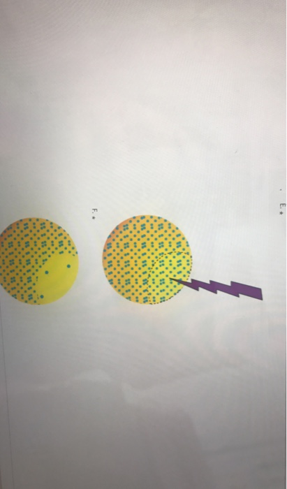 Solved QUESTION 7 FRAP 1C What is a reasonable conclusion | Chegg.com