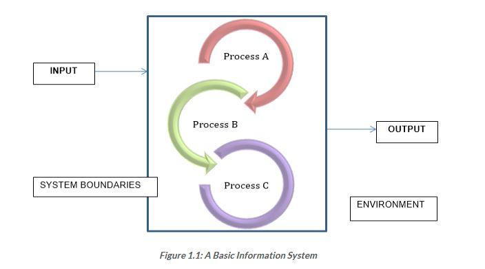 Solved Give an example of an information system and | Chegg.com