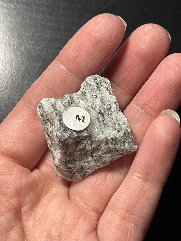 solved-exercise-1-metamorphic-rock-identification-in-this-chegg