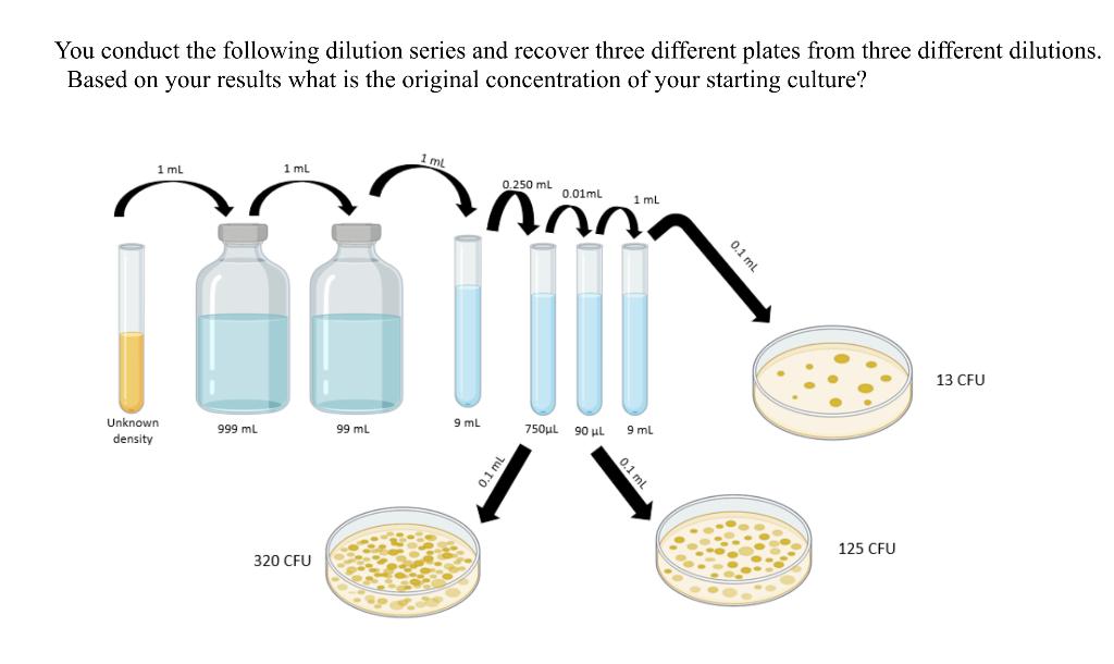 Solved You conduct the following dilution series and recover | Chegg.com