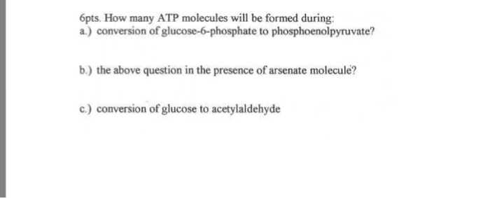 Solved 6pts. How many ATP molecules will be formed during: | Chegg.com