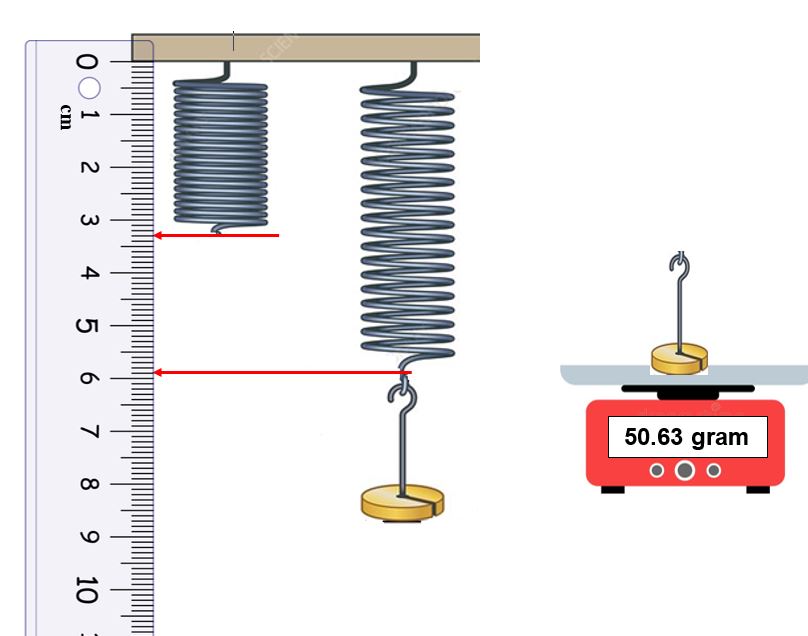 Solved A student performs Hooks law experiment to determine | Chegg.com