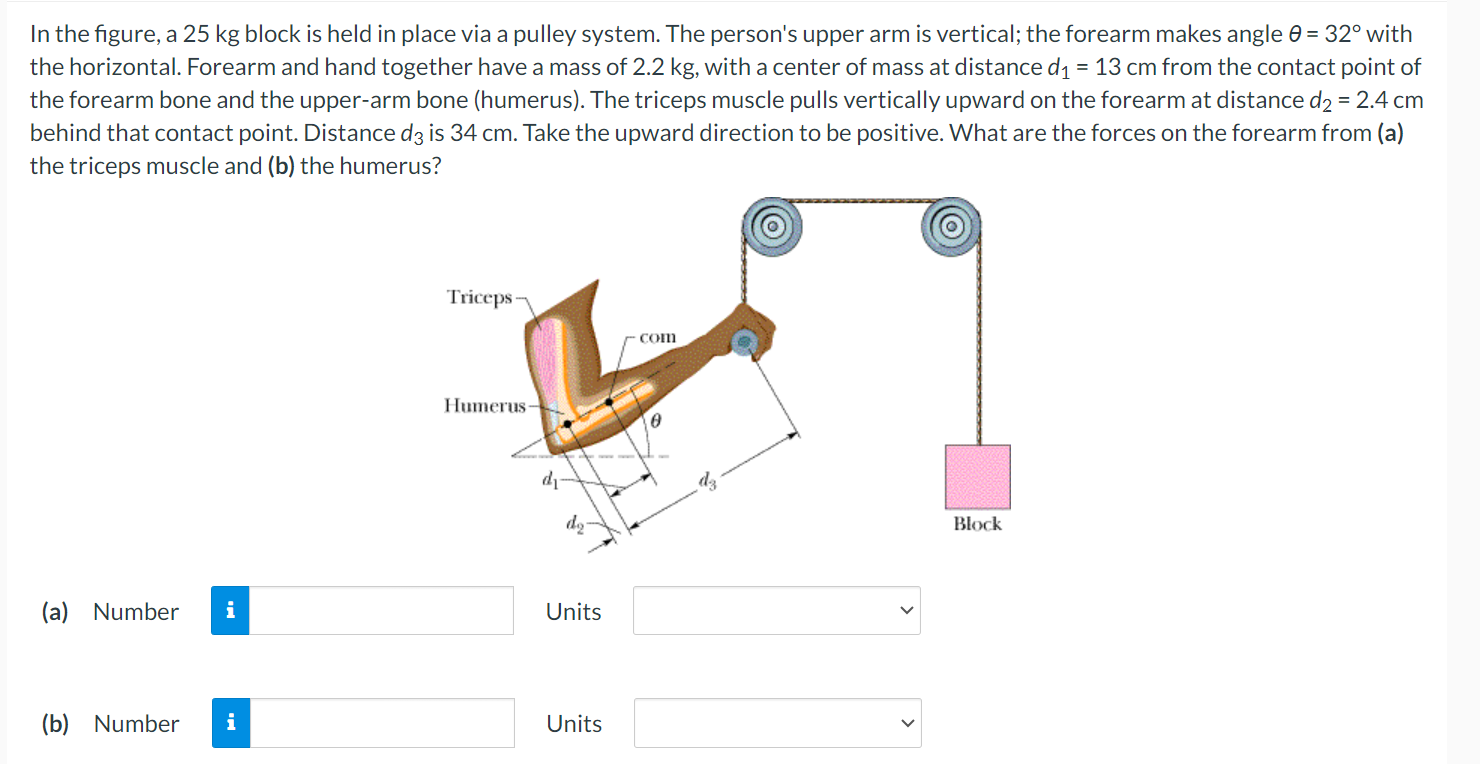 Solved In the figure, a 25 kg block is held in place via a | Chegg.com