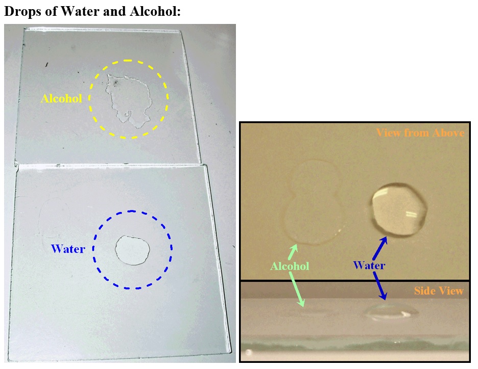 Solved Summarize your observations. How does water behave