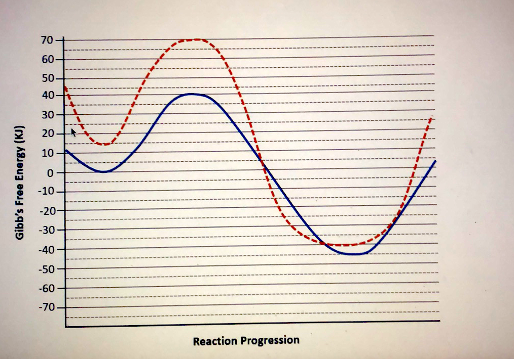 Solved graph shows two enzymatic activity and its | Chegg.com