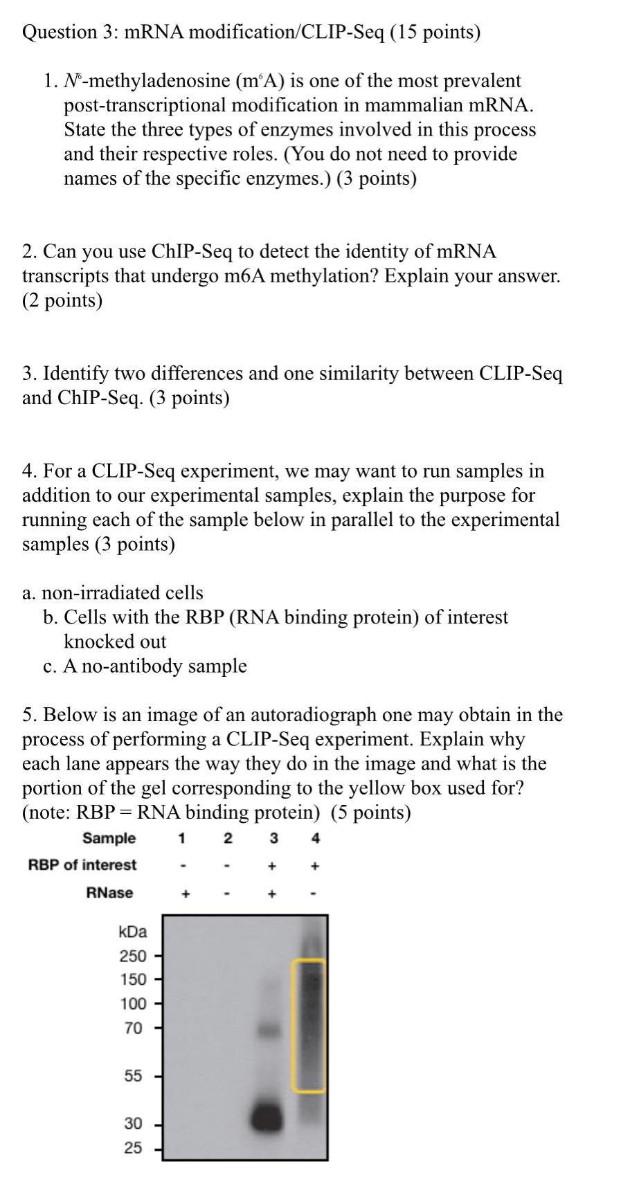 Solved Question 3: mRNA modification/CLIP-Seq (15 points) 1