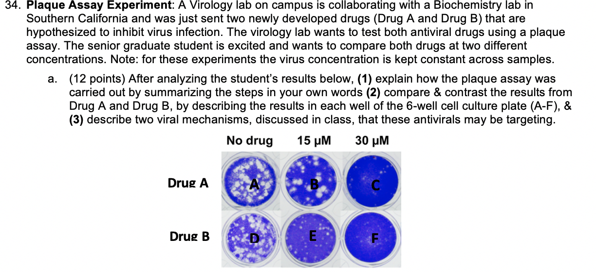 34. Plaque Assay Experiment A Virology lab on campus