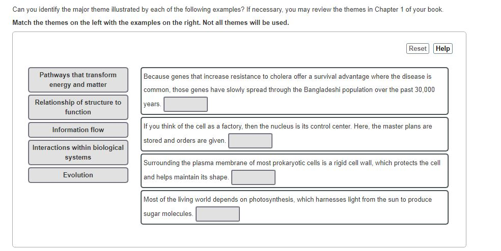 solved-can-you-identify-the-major-theme-illustrated-by-each-chegg