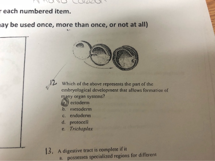 Solved 1. Sponges have only which one of the following? a.