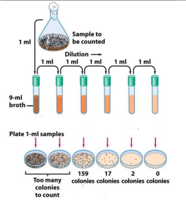 Solved Answer the following serial dilution exercises 1.