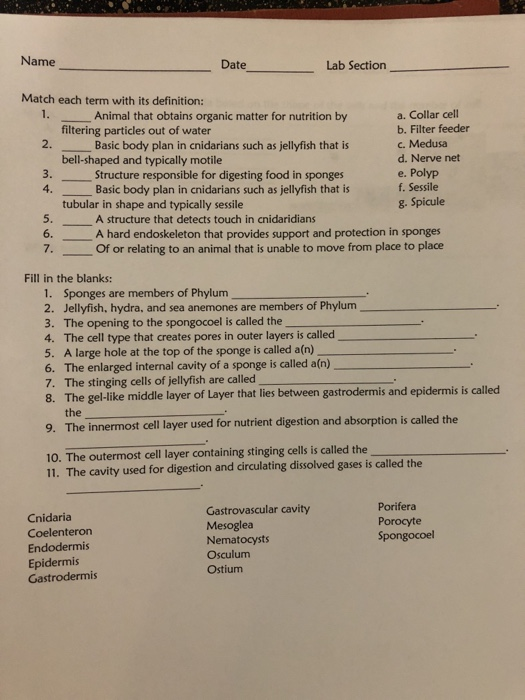 Solved Name Date Lab Section Match each term with its | Chegg.com