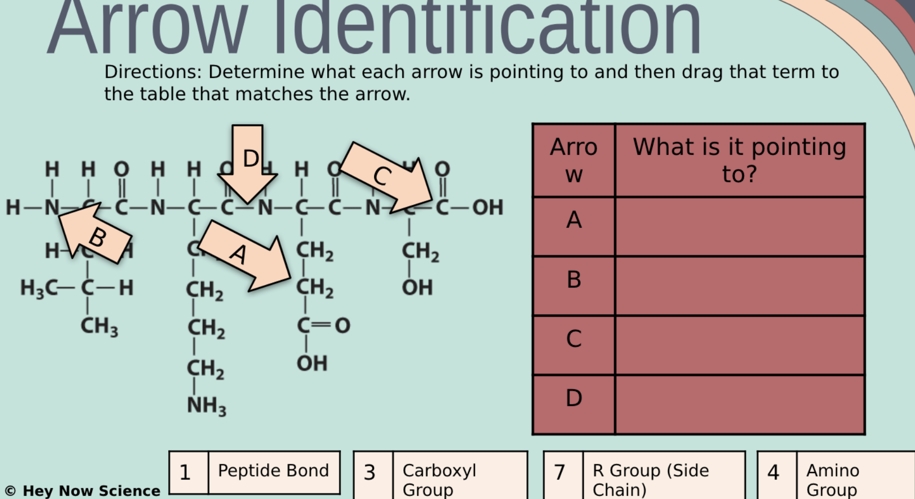 Solved Directions Determine what each arrow is pointing to