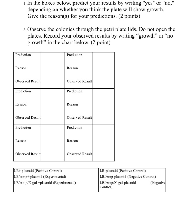 Solved 1. In the boxes below, predict your results by | Chegg.com