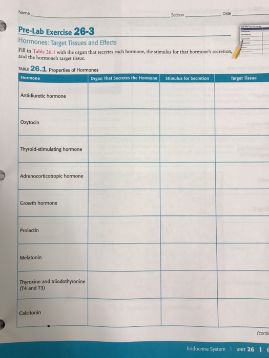 Solved secton Date Pre-Lab Exercise 26 Hormones: Target | Chegg.com