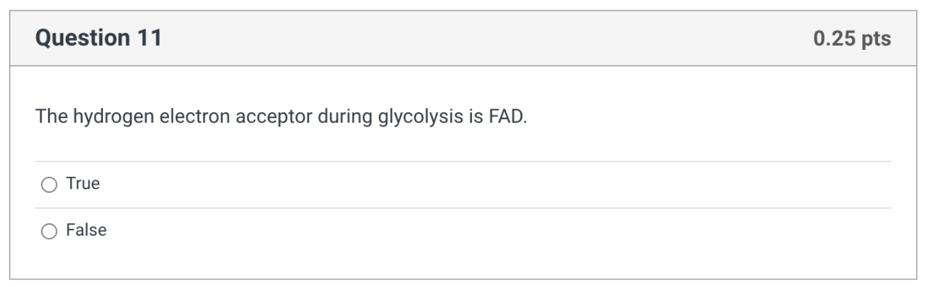 Solved Question 7 0.5 pts Where exactly in the cell does the | Chegg.com