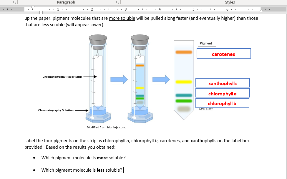 Solved Paragraph Styles 6 . . I T . . . Yi i 1 . . . . . 3 .