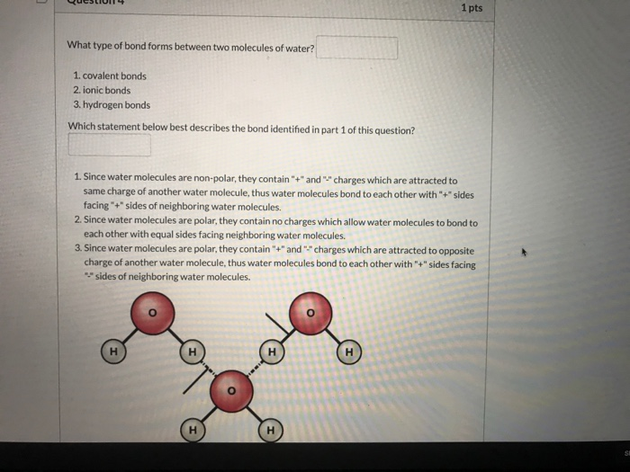 Solved 1 Pts What Type Of Bond Forms Between Two Molecule Chegg Com