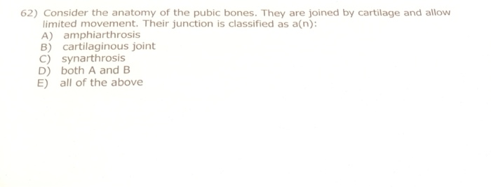 Solved: 62) Consider The Anatomy Of The Pubic Bones. They | Chegg.com